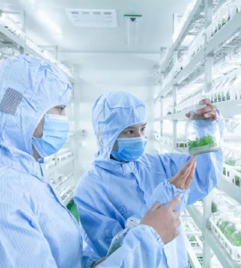 叼嘿下载视频技术
