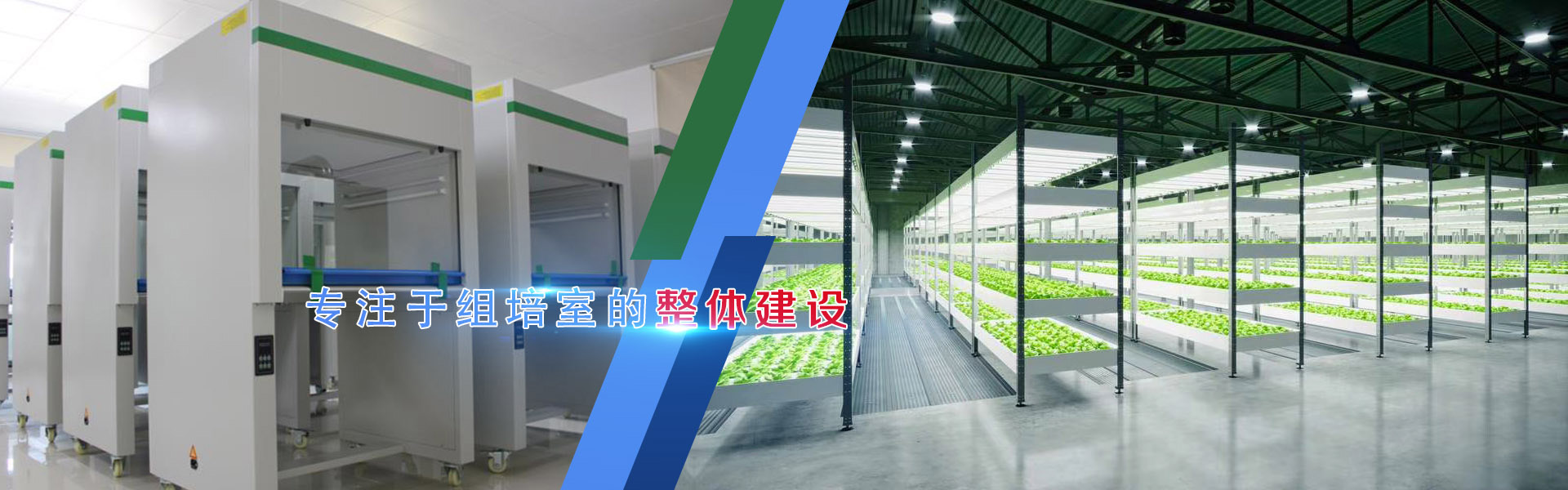 叼嘿下载视频、叼嘿下载视频架