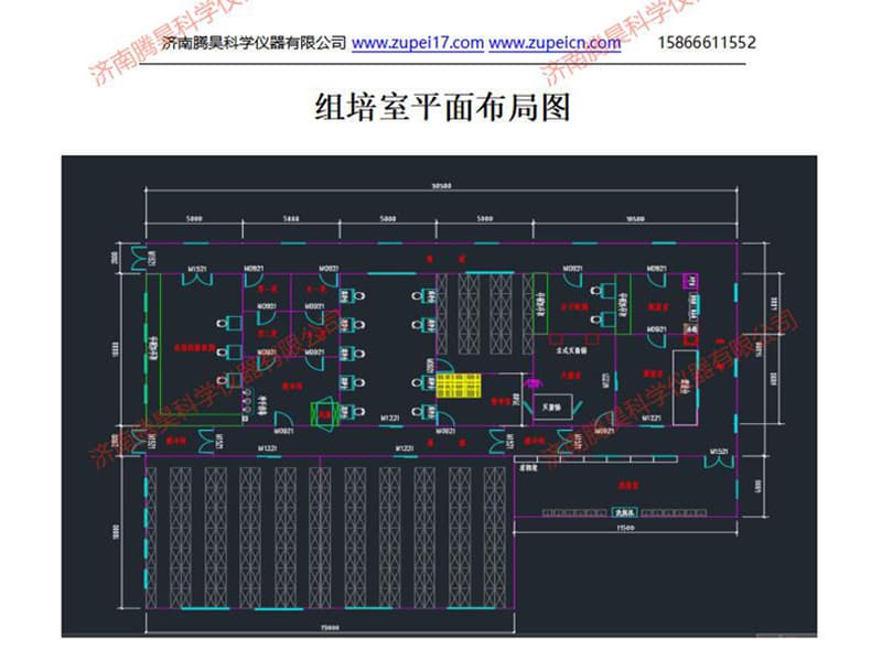 叼嘿下载视频室