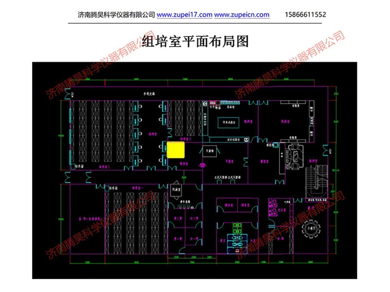 叼嘿下载视频室