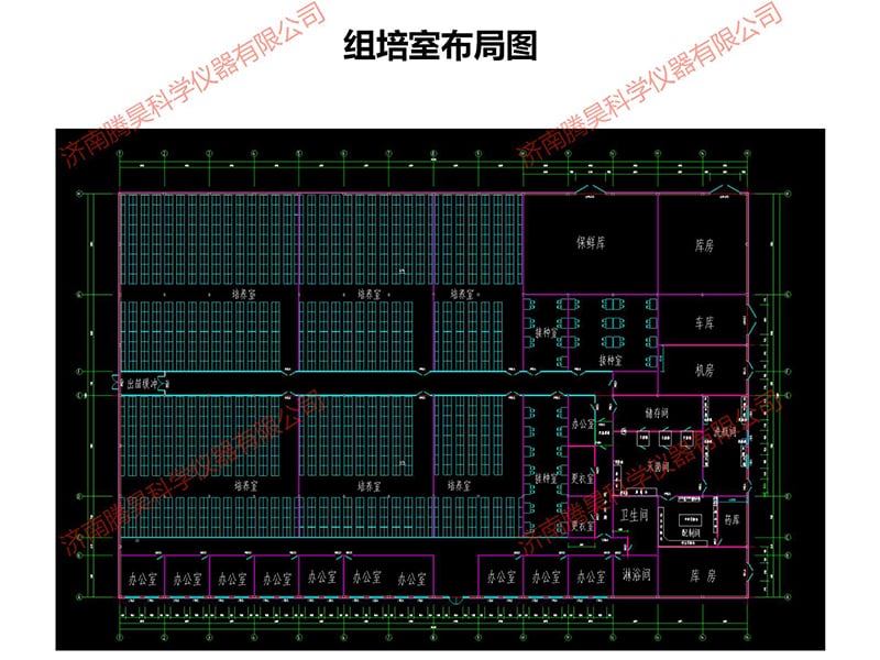 张家口叼嘿下载视频室设计图