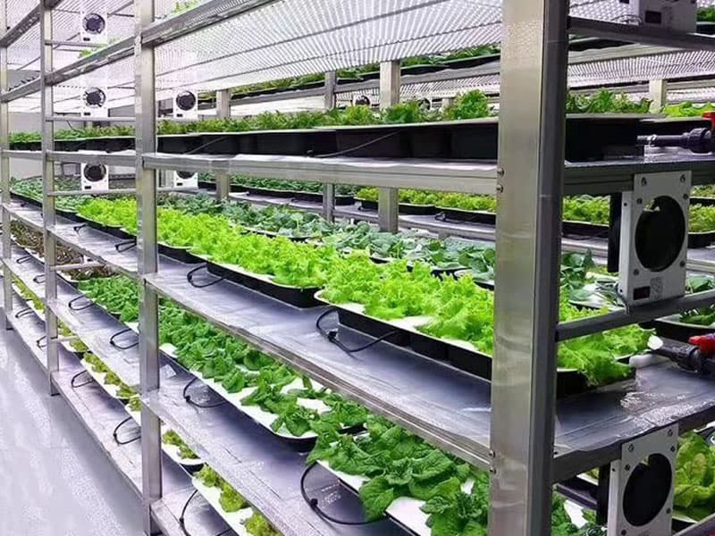 叼嘿下载视频  叼嘿下载视频室