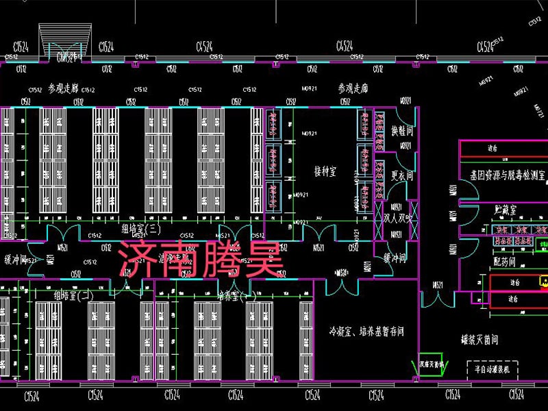 叼嘿下载视频  叼嘿下载视频室