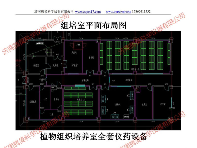 叼嘿下载视频室