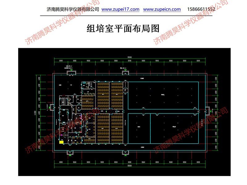 中科院山东叼嘿下载视频室(培养室)