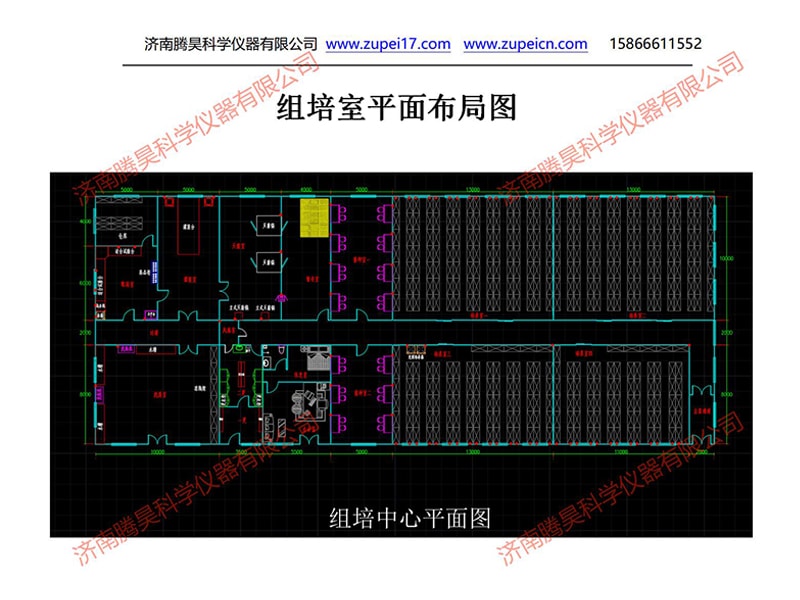 叼嘿下载视频  叼嘿下载视频室