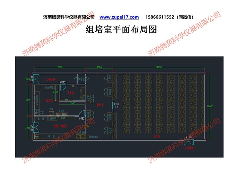 昆明人参果叼嘿下载视频室建设方案