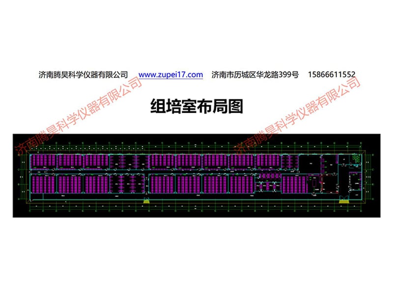 浙江植物叼嘿下载视频实验