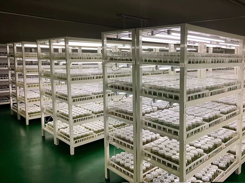 叼嘿下载视频  叼嘿下载视频架