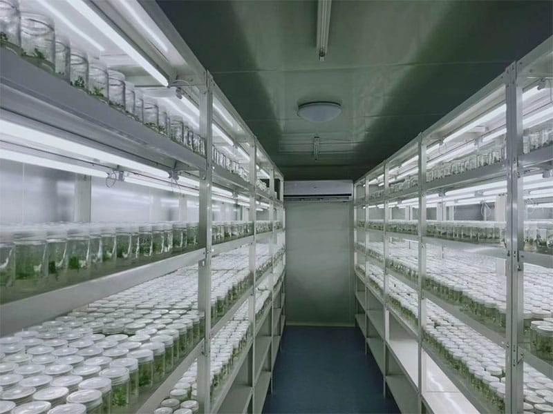 叼嘿下载视频  叼嘿下载视频架