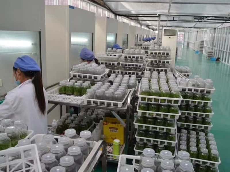 叼嘿下载视频设备