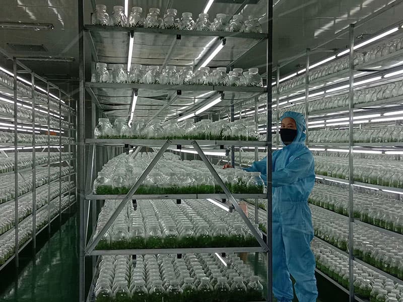 叼嘿下载视频  叼嘿下载视频架