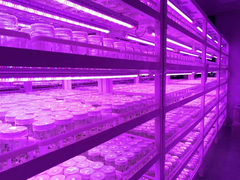 叼嘿下载视频  叼嘿下载视频架