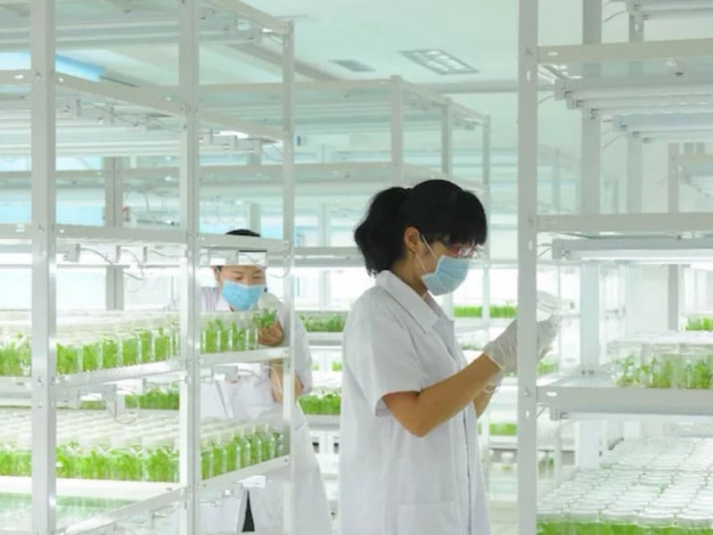 叼嘿下载视频  叼嘿下载视频架