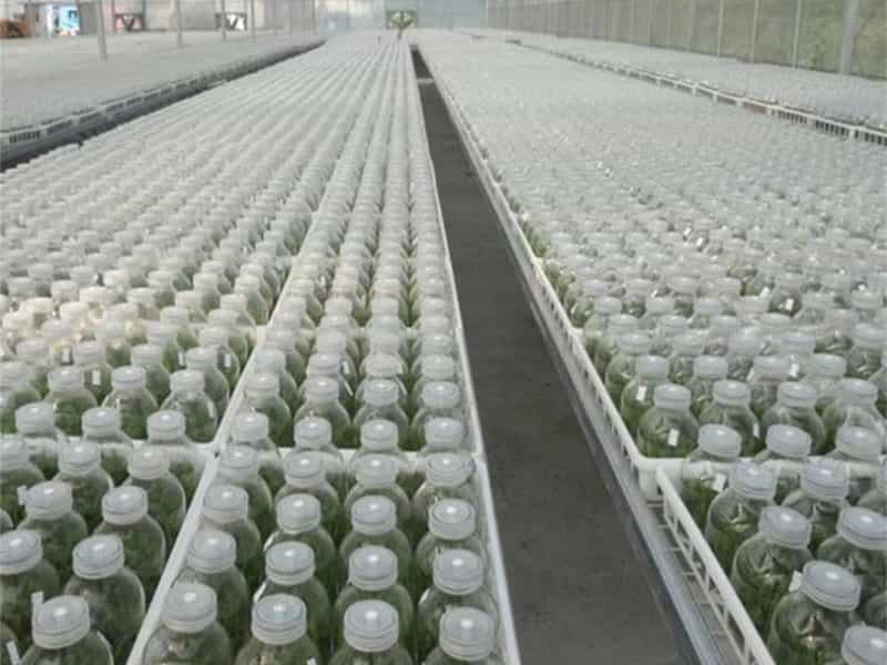 叼嘿下载视频  叼嘿下载视频瓶