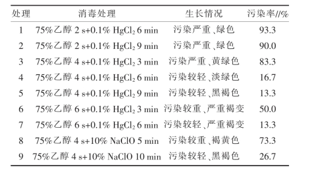 叼嘿下载视频室