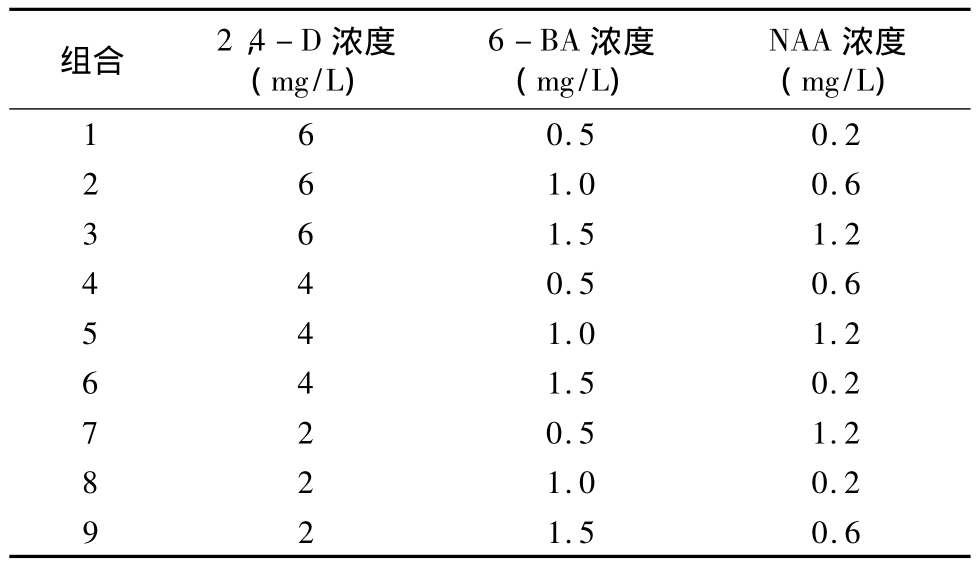 叼嘿下载视频实验室