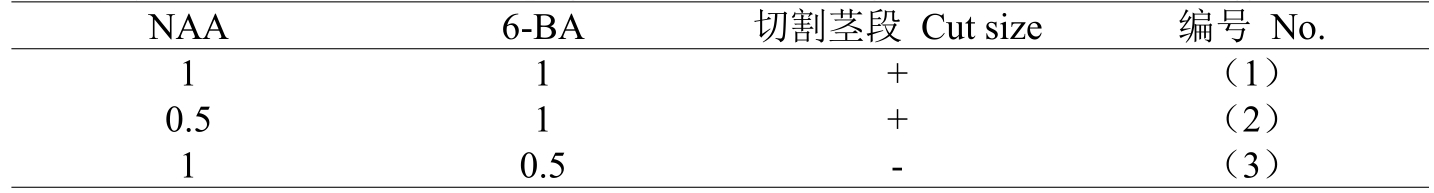 叼嘿下载视频室设计