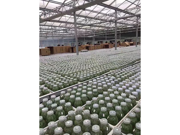 叼嘿下载视频设备