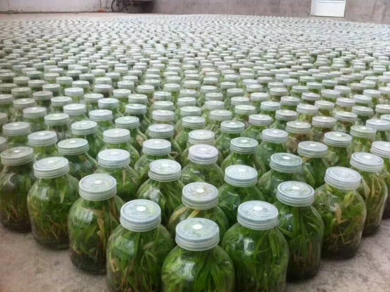 叼嘿下载视频  叼嘿下载视频瓶