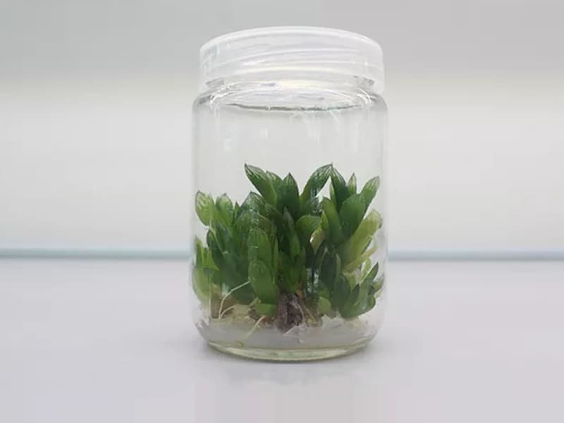 叼嘿下载视频  叼嘿下载视频瓶