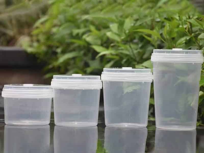 叼嘿下载视频  叼嘿下载视频瓶