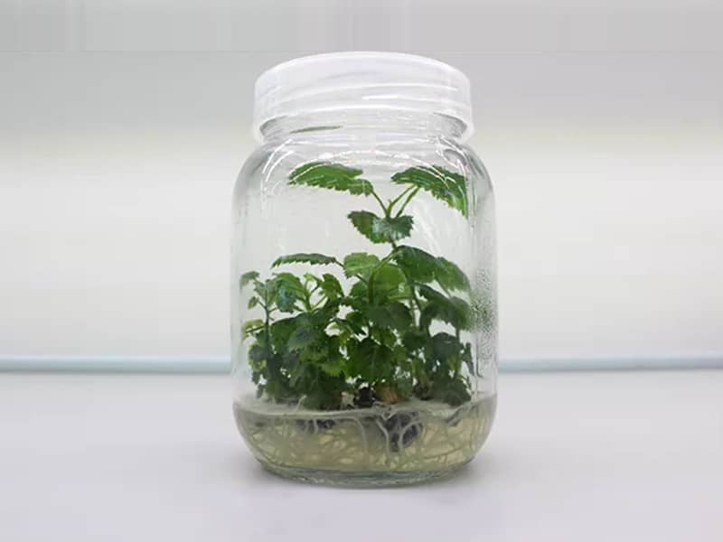 叼嘿下载视频  叼嘿下载视频瓶