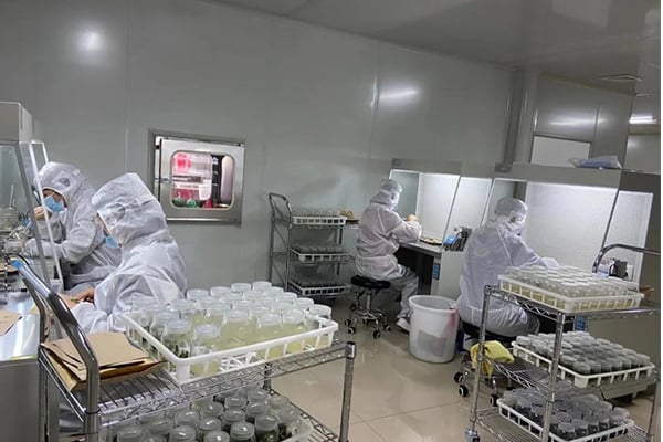 叼嘿下载视频